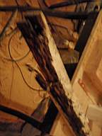 edencottages - 5784.jpg
